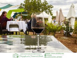 Festival Mar de Tethys 2026 - Bodega Vetas